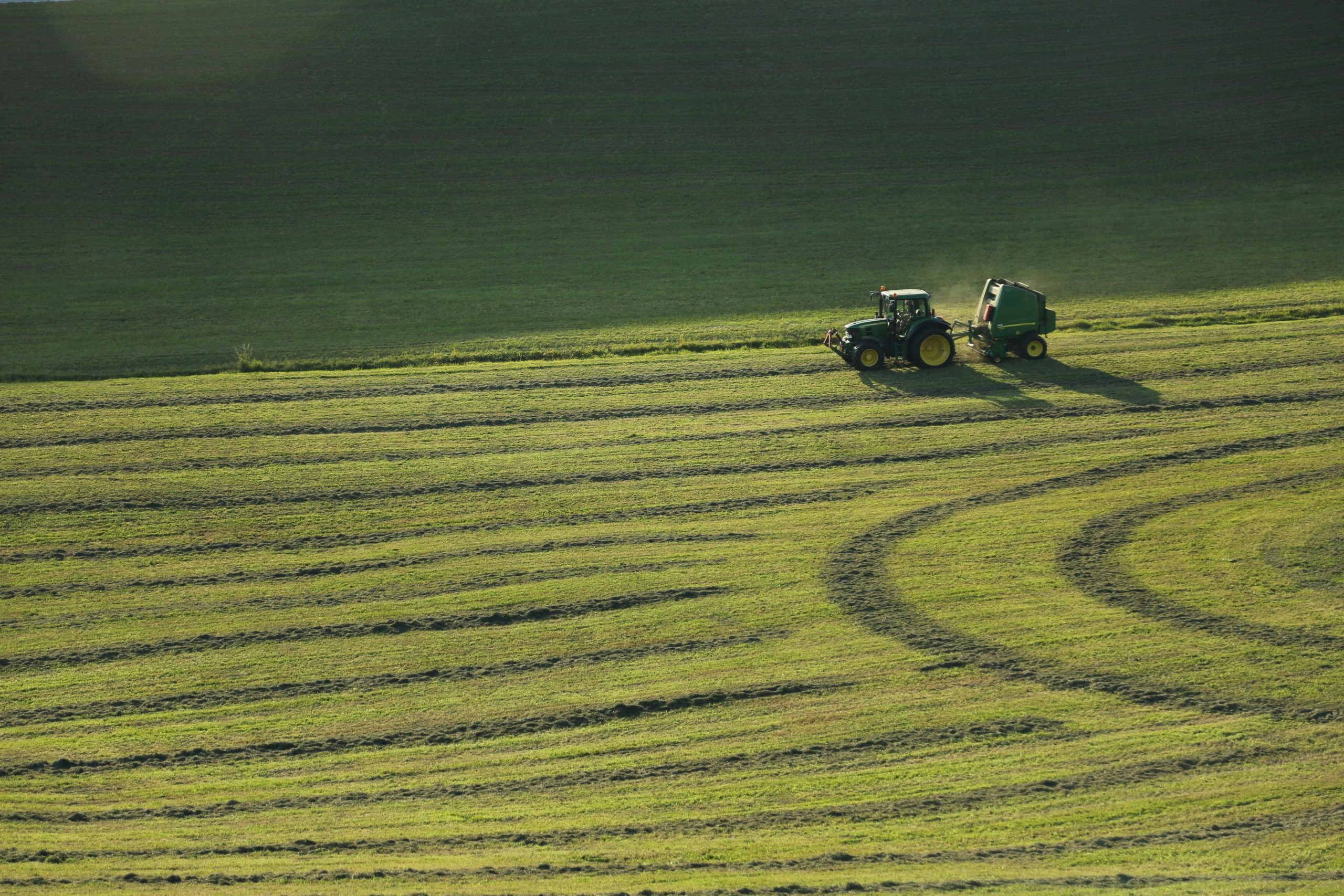 You are currently viewing Javni razpis za intervencijo IRP24 podpora za vzpostavitev gospodarstev mladih kmetov za leto 2026